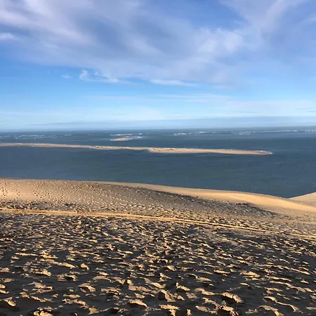 Aux Abatilles * Arcachon