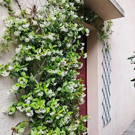 Villa Aux Abatilles Arcachon