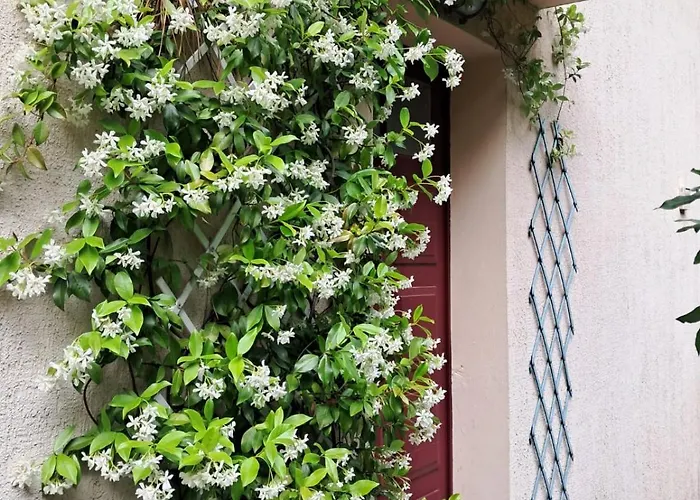 Villa Aux Abatilles Arcachon